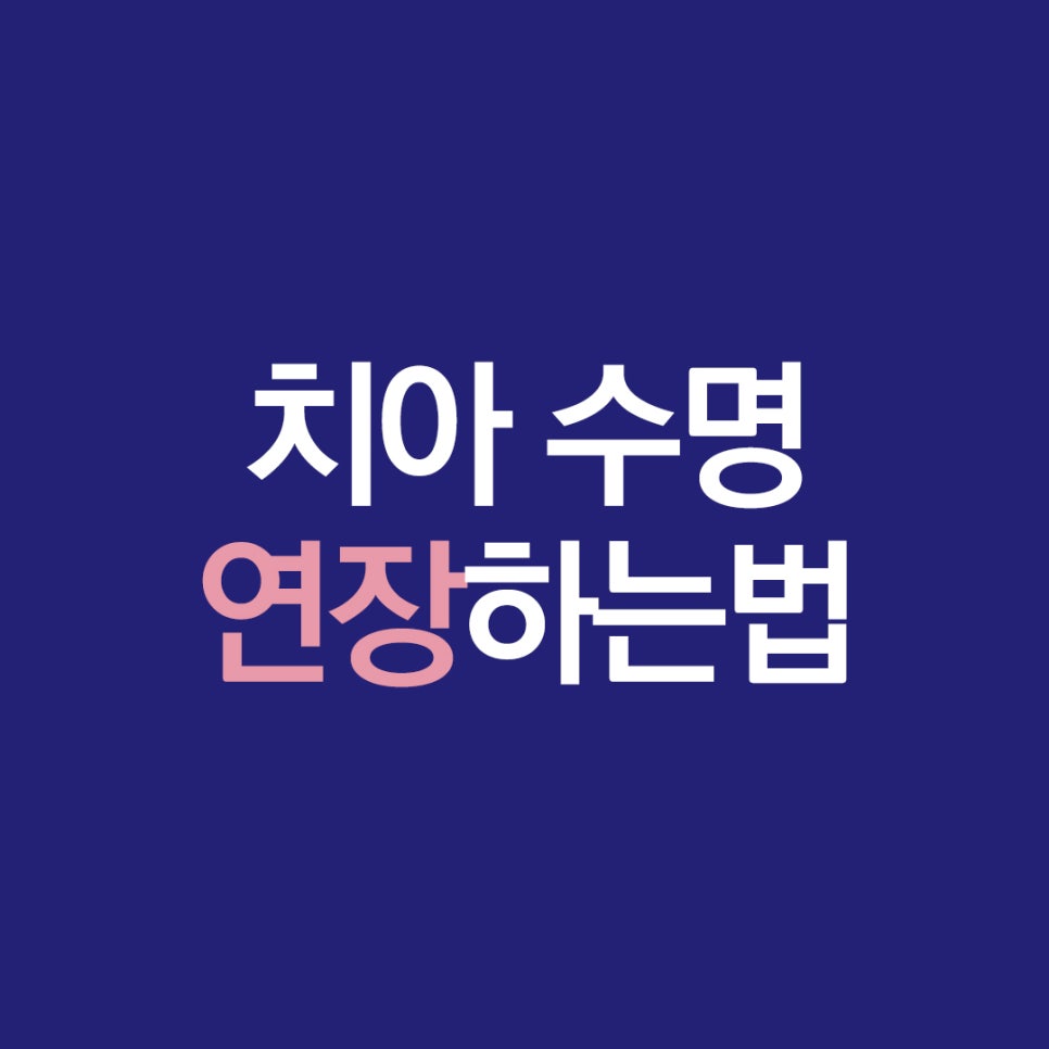 치아 수명 연장하는 법 관련 이미지 1