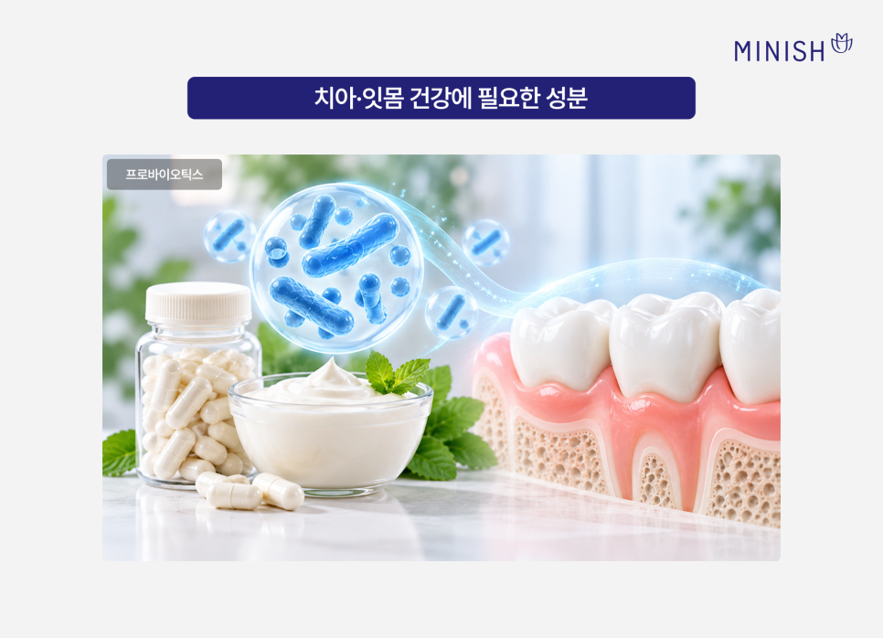 잇몸영양제 치아영양제 효과 있을까? 추천 성분은? 관련 이미지 5