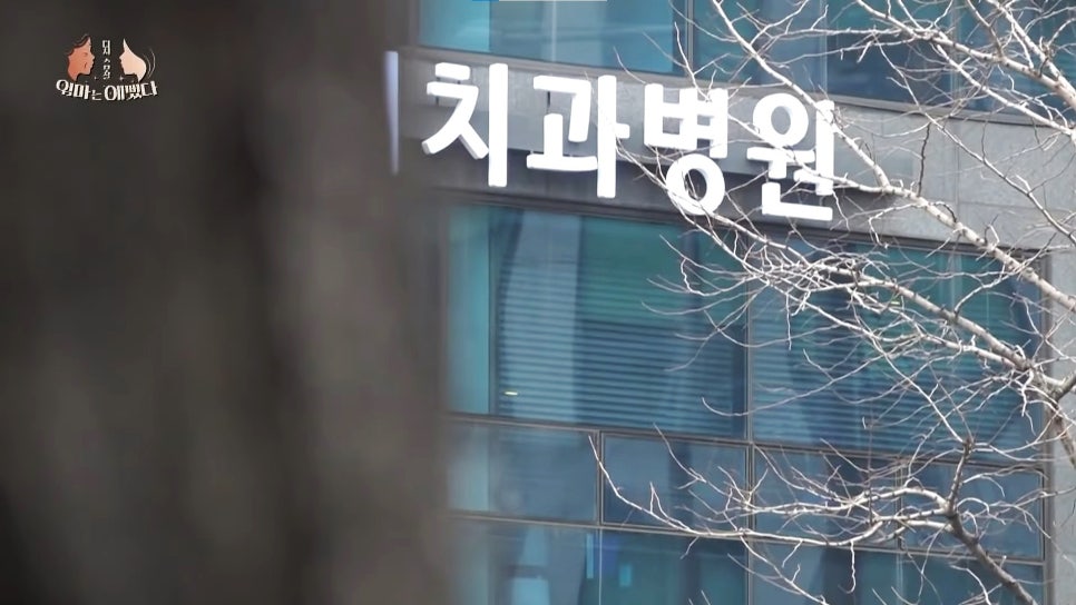 천안엄마의 치아노화, 미니쉬로 치아코팅하다 [엄마는예뻤다] 관련 이미지 2