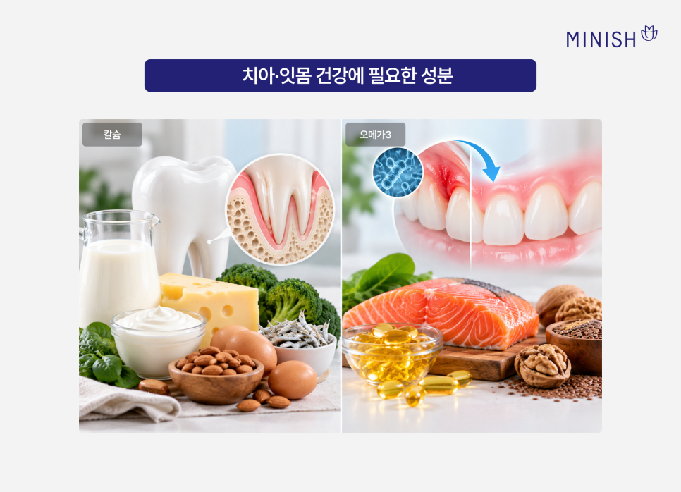잇몸영양제 치아영양제 효과 있을까? 추천 성분은? 관련 이미지 4