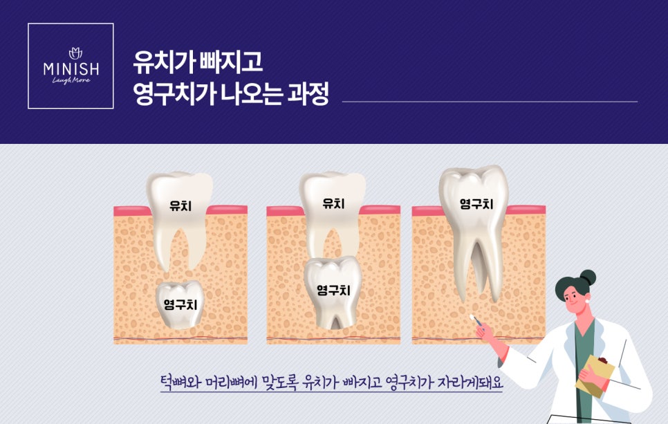 [치아상식] 그것이 알고 싶다 - 치아는 왜 두 번만 나는 걸까? 관련 이미지 4