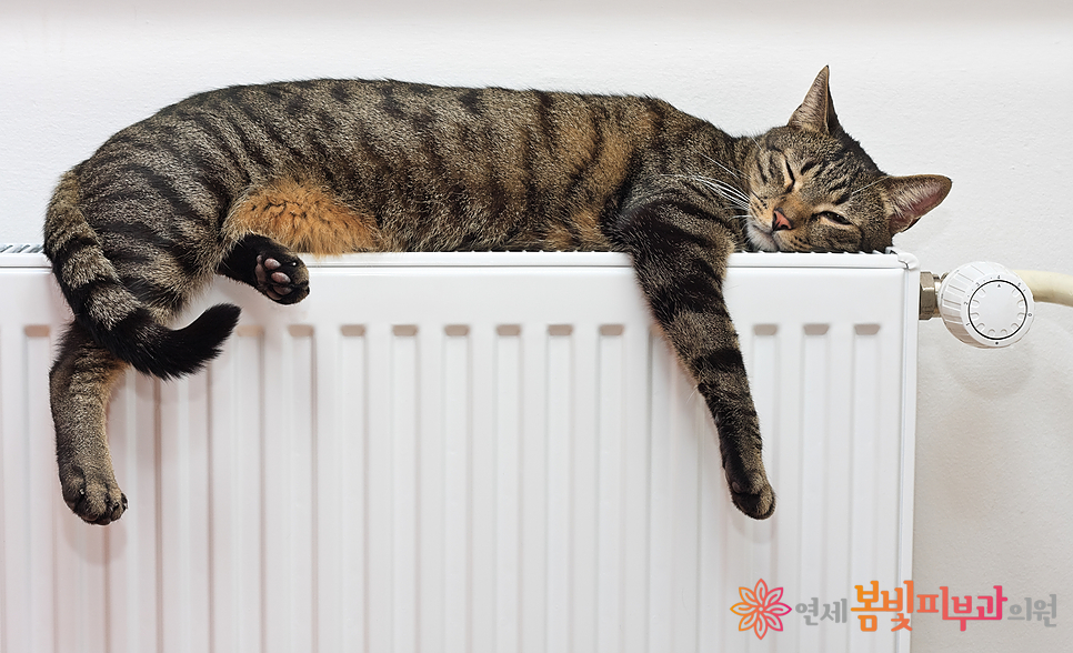 겨울철 난방기 사용 주의 #1 저온화상 (온수매트, 전기장판, 전기매트, 전기요) 관련 이미지 1