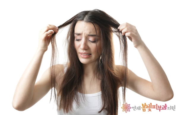여성형 탈모는 무엇일까요? 관련 이미지 1