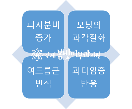 성인 여드름 퇴치하기 (성인 여드름, 염증성 여드름, 피부과에서 여드름 치료 잘하기) 관련 이미지 1