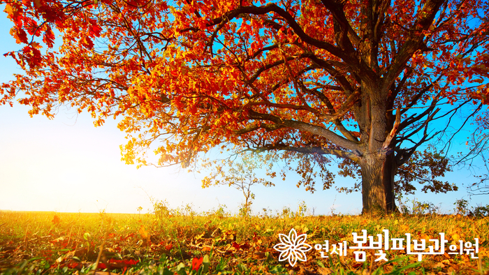 여드름, 지성 피부에도 문제없는 ASF 피지컬 선블럭 관련 이미지 1