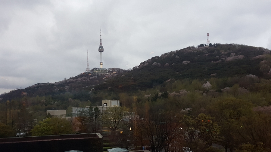 대한 피부과의사회 상임이사 및 간사 합동회의 참석 관련 이미지 2