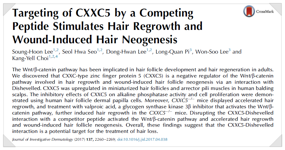 탈모에서 신약의 가능성은? (Samumed SM04554, PTD-DBM) 관련 이미지 2