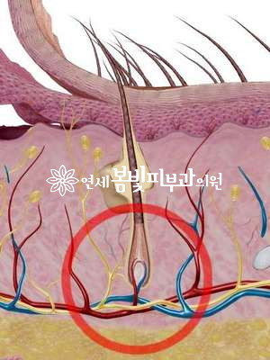 골프와 탈모 관련 이미지 1