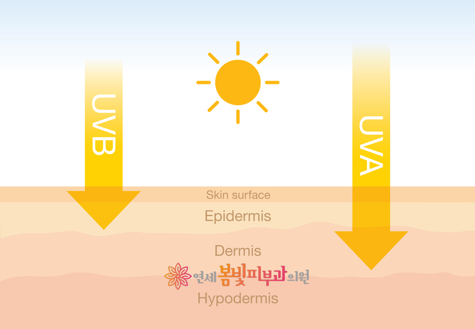 겨울철 피부관리법 – 스키장 나들이 전후 피부 관리법 (스키장 피부 관리, 자외선 차단, 보습) 관련 이미지 4