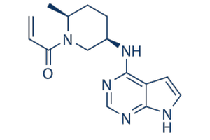 원형탈모 신약, PF-06651600 관련 이미지 3
