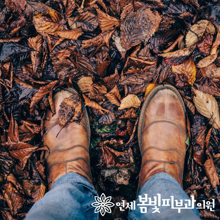 가을이면 술술 빠지는 머리, 탈모의 시작일까요? 관련 이미지 1