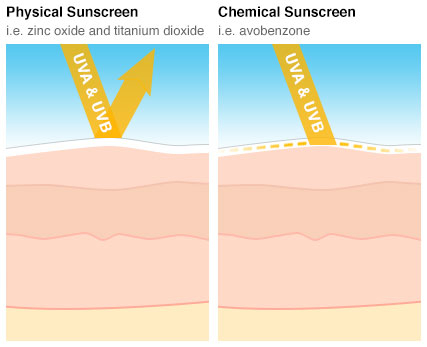 여름철 필수 선크림! 선크림에도 족보가 있다구요? 관련 이미지 3