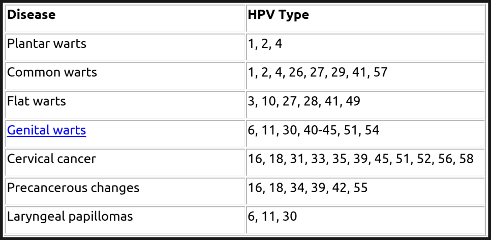 바이러스성 사마귀는 왜 자꾸 생길까요? (보통 사마귀, 편평 사마귀, 손발바닥 사마귀, 냉동치료,  블레오마이신 주사 치료, 레이저 치료) 관련 이미지 4