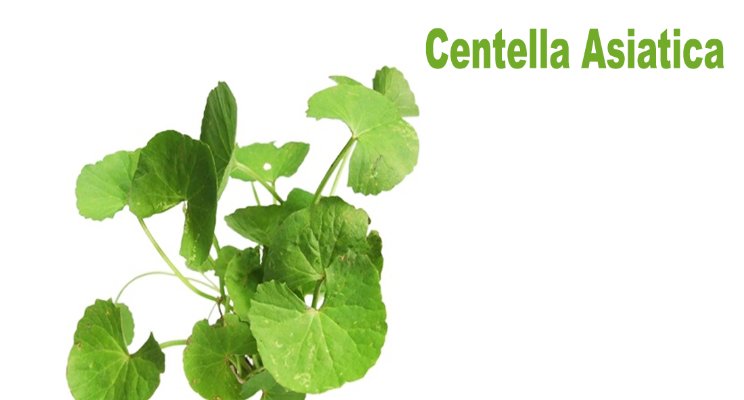 피부재생은 나에게 맡겨~ ASF 리커버리 크림 관련 이미지 3