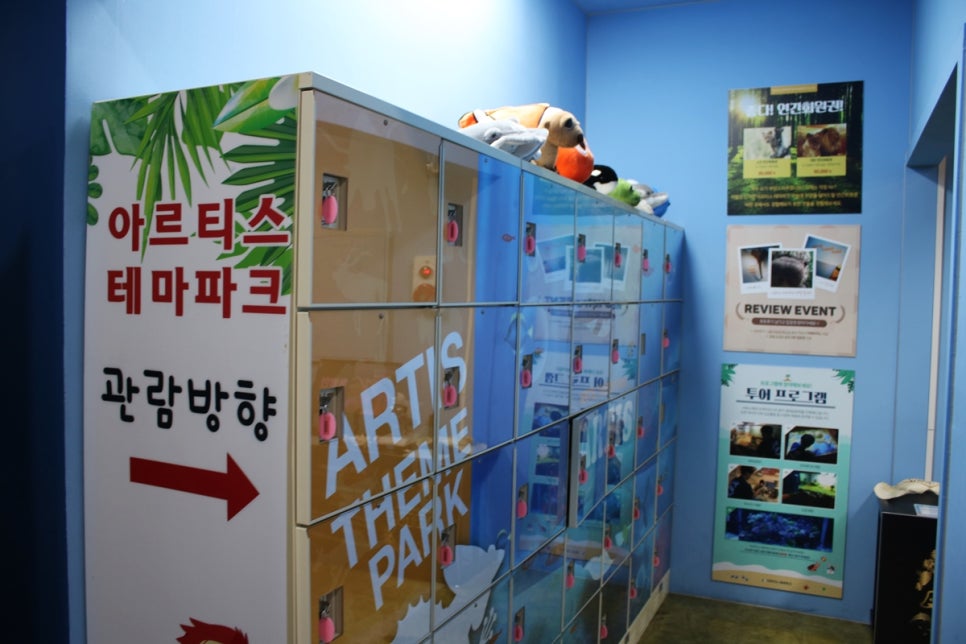 동탄 실내동물원 도심속에서 이런 퀄리티라니 놀라게 되는 아르티스테마파크 관련 이미지 22