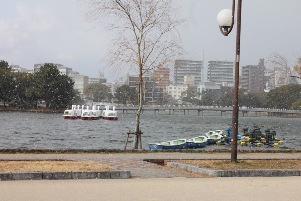 일본 후쿠오카 여행 오호리공원을 거닐면서 상념에 사로잡히다 관련 이미지 6
