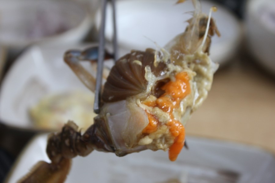 송죽동 맛집 짜지 않고 신선했던 밥도둑 안스게장 관련 이미지 28