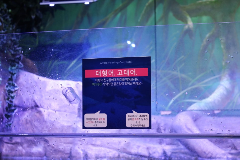 동탄 실내동물원 도심속에서 이런 퀄리티라니 놀라게 되는 아르티스테마파크 관련 이미지 73