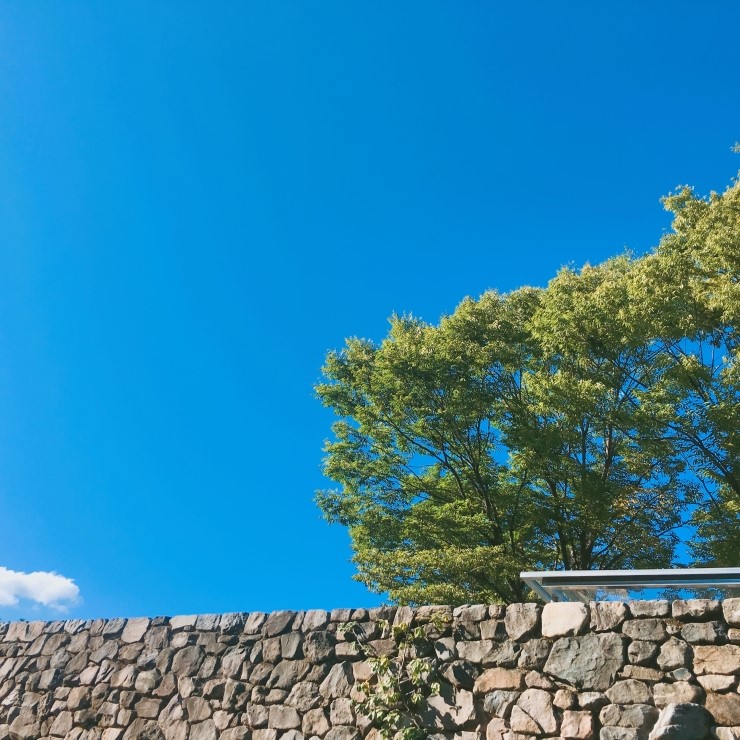 서울근교 나들이 가기 좋은곳! 관련 이미지 7