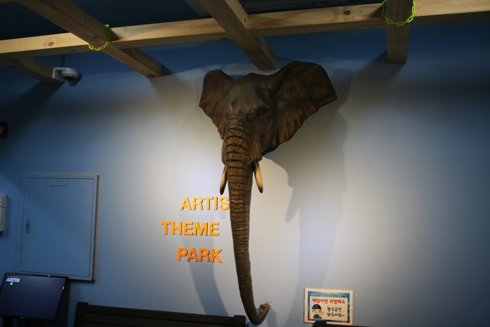 동탄 실내동물원 도심속에서 이런 퀄리티라니 놀라게 되는 아르티스테마파크 관련 이미지 21