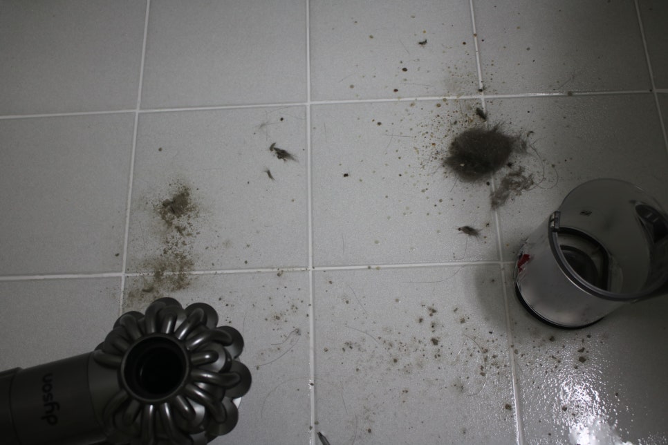 다이슨 무선청소기 냄새나서 분해청소 생각보다 쉬웠던 후기 관련 이미지 19