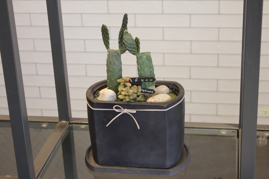 수원 데이트 맛집 달달하게 디저트 즐기기에 좋은 블레스롤 호매실점 관련 이미지 23