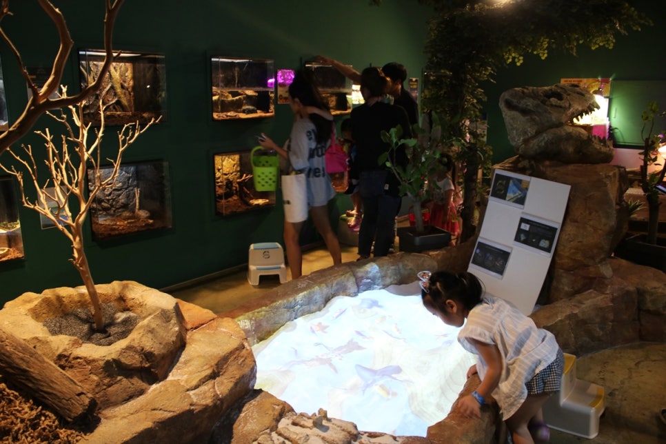 동탄 실내동물원 도심속에서 이런 퀄리티라니 놀라게 되는 아르티스테마파크 관련 이미지 32