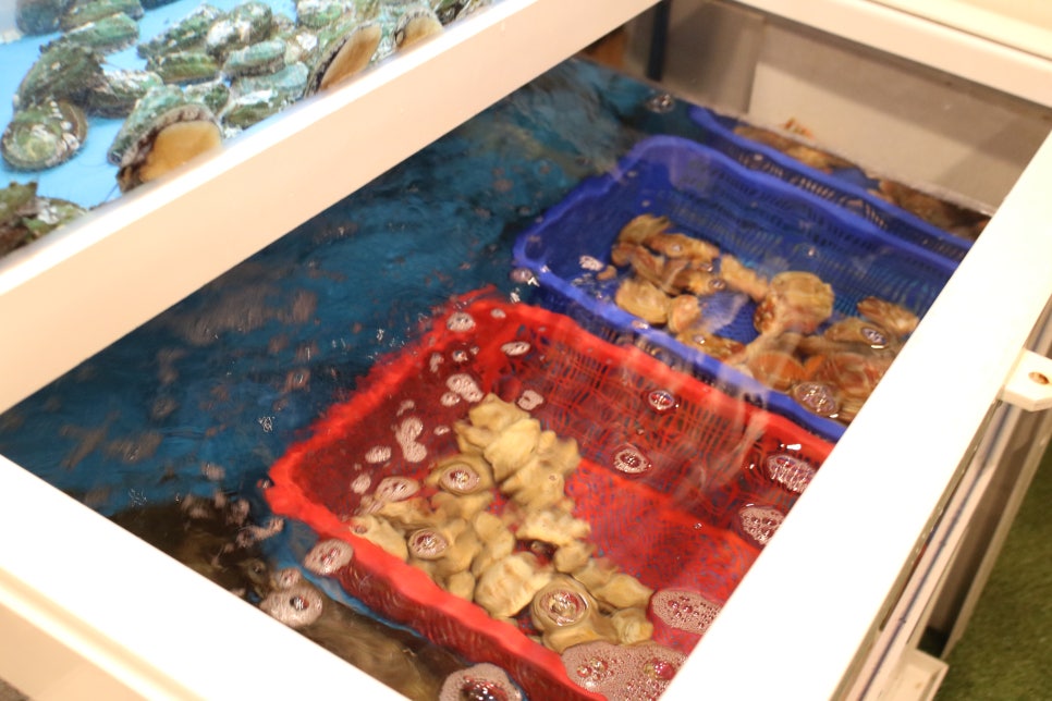 평택 비전동 맛집 자꾸만 손이가는 놀라운곳 관련 이미지 5