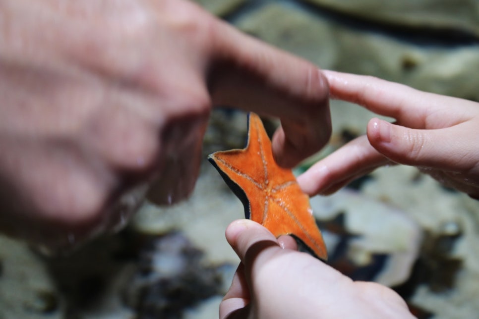동탄 실내동물원 도심속에서 이런 퀄리티라니 놀라게 되는 아르티스테마파크 관련 이미지 68