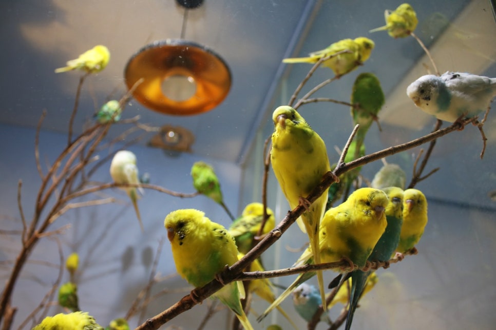 동탄 실내동물원 도심속에서 이런 퀄리티라니 놀라게 되는 아르티스테마파크 관련 이미지 84