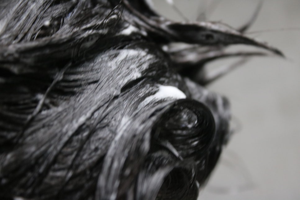 미세먼지샴푸 첨써보는 신개념의 스탠다즈 워터캡슐 관련 이미지 23