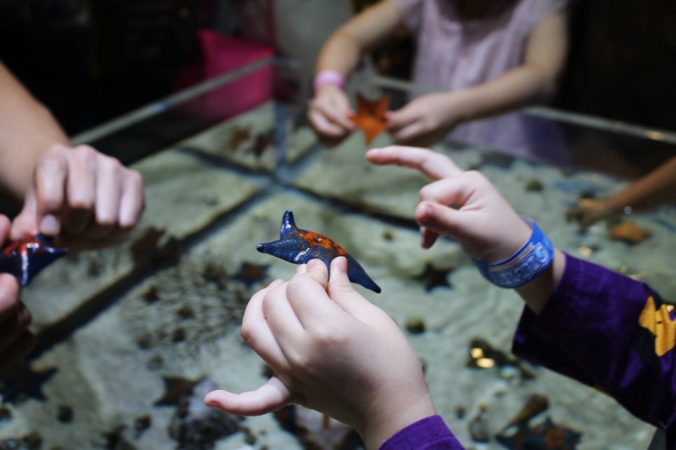 동탄 실내동물원 도심속에서 이런 퀄리티라니 놀라게 되는 아르티스테마파크 관련 이미지 67