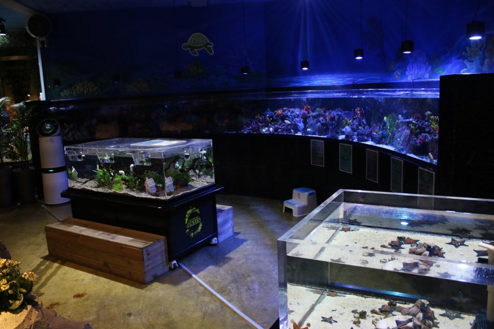 동탄 실내동물원 도심속에서 이런 퀄리티라니 놀라게 되는 아르티스테마파크 관련 이미지 56