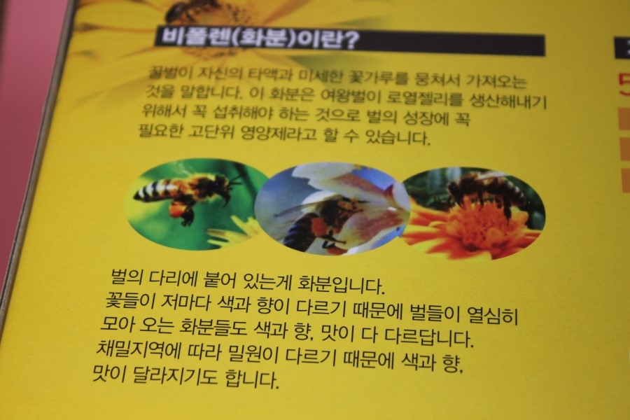 국산 비폴렌 든든한 하루를 위해서 관련 이미지 7