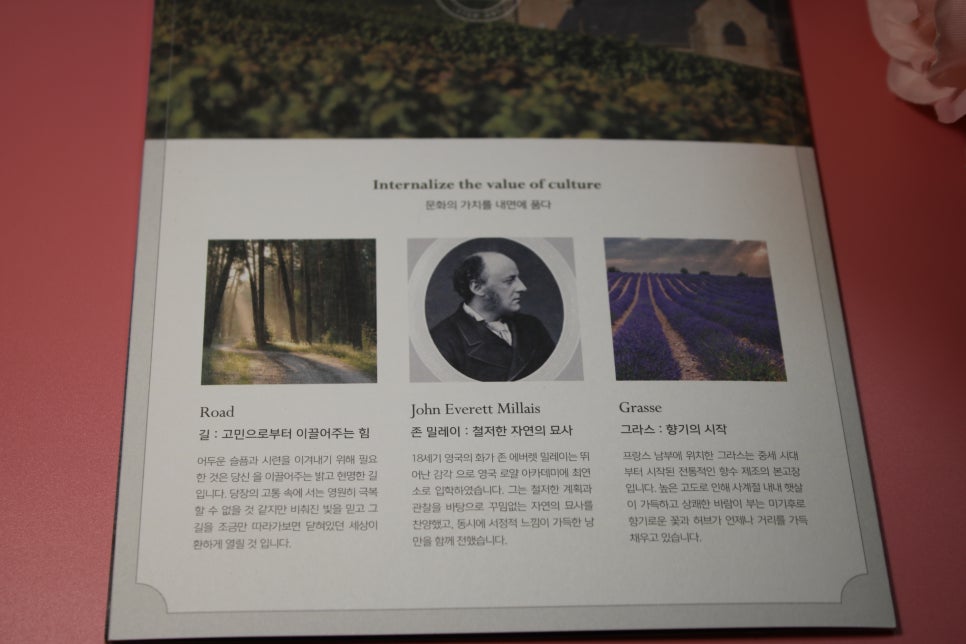 상한머리복구 극손상모에게 희망을 주네요! 관련 이미지 29