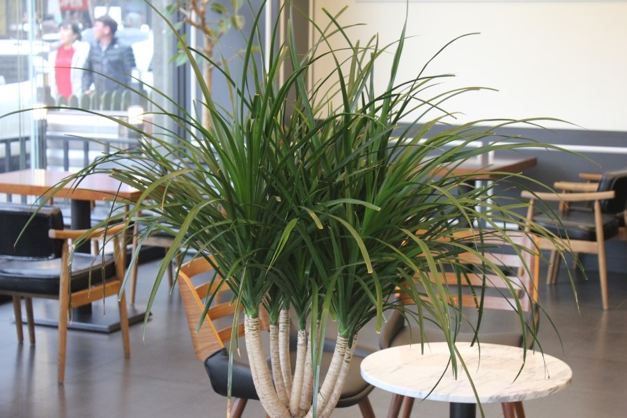 수원 데이트 맛집 달달하게 디저트 즐기기에 좋은 블레스롤 호매실점 관련 이미지 31