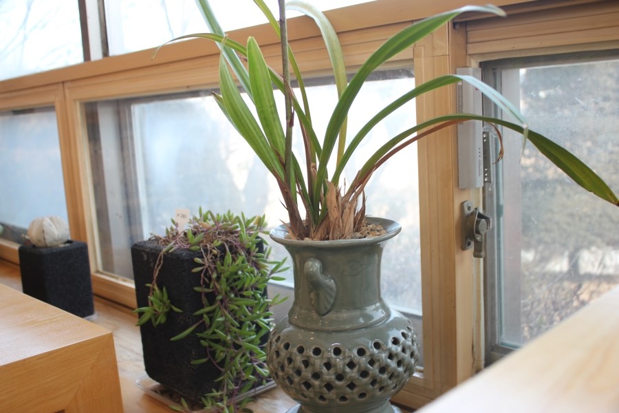 칠곡 한정식 맛집 가성비 끝내주는 마실밥상 관련 이미지 11