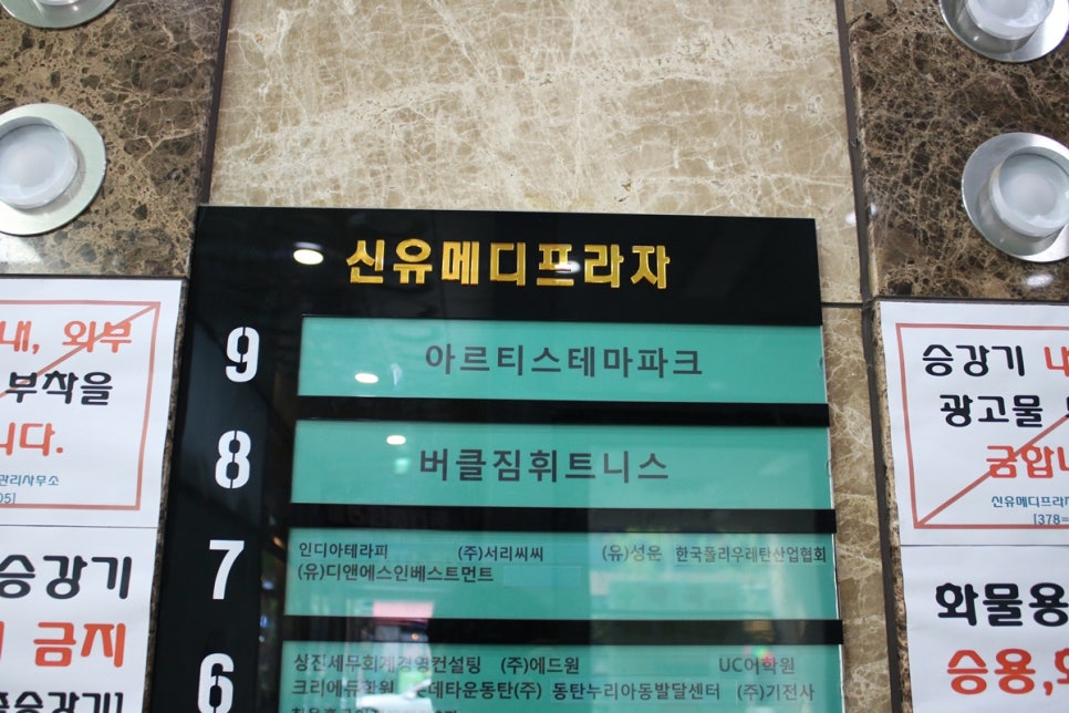 동탄 실내동물원 도심속에서 이런 퀄리티라니 놀라게 되는 아르티스테마파크 관련 이미지 2