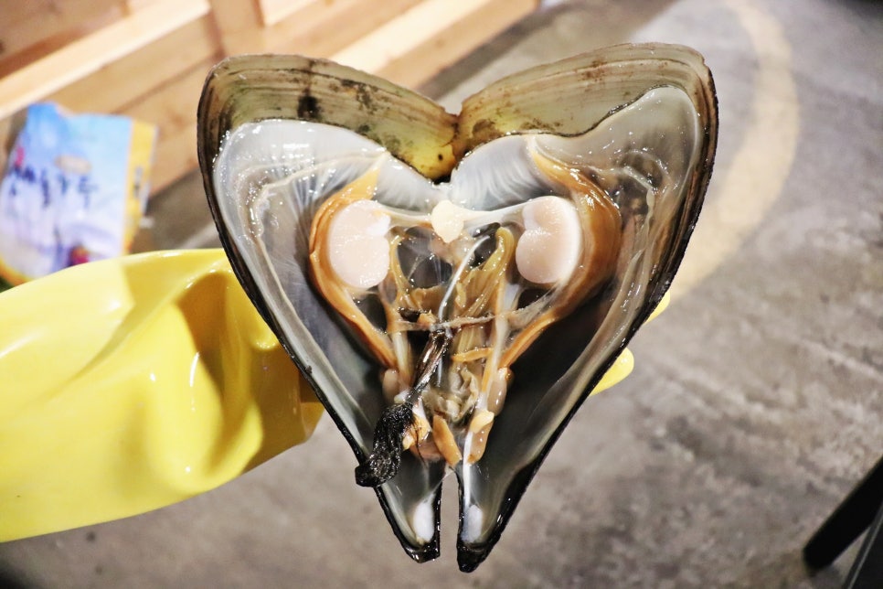 정동진 맛집 멀리서 찾지마세요! 관련 이미지 32