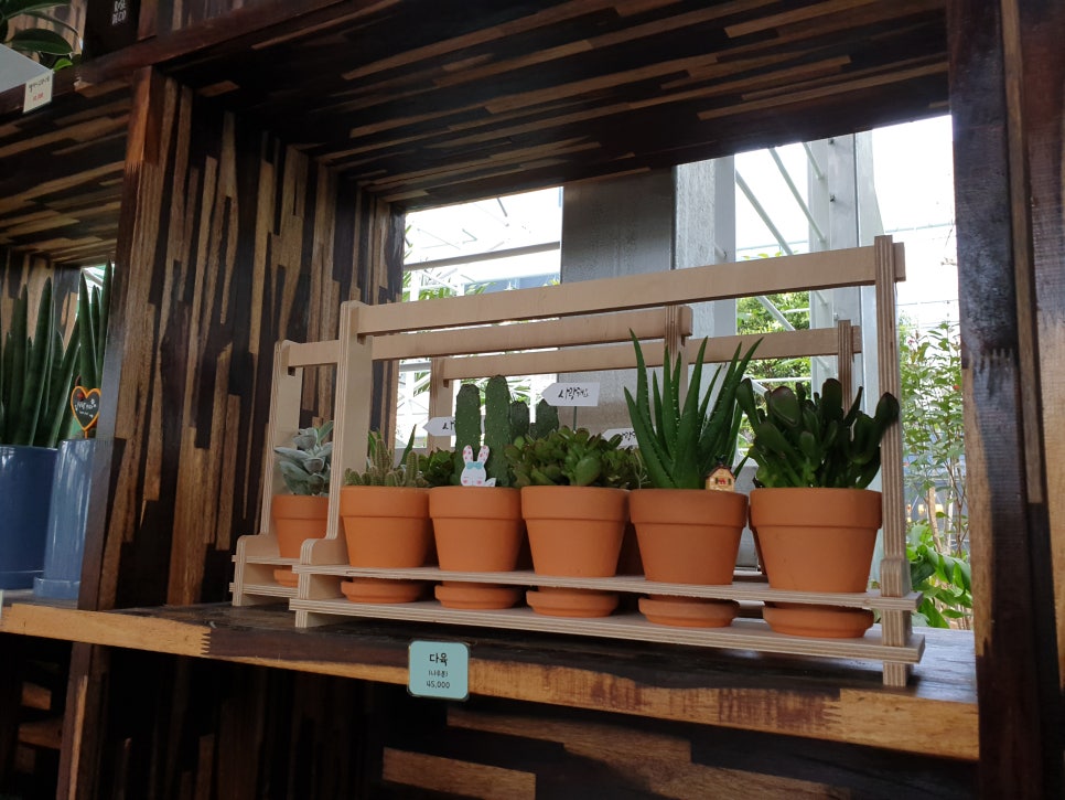 화성 가볼만한곳 바오밥식물원베이커리에 아이들과 함께 관련 이미지 14