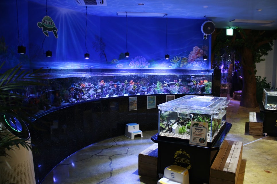 동탄 실내동물원 도심속에서 이런 퀄리티라니 놀라게 되는 아르티스테마파크 관련 이미지 51