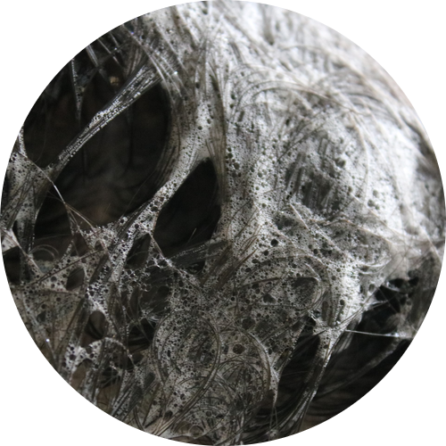 천연샴푸추천 샤워할때마다 기분이 좋아져요! 관련 이미지 17