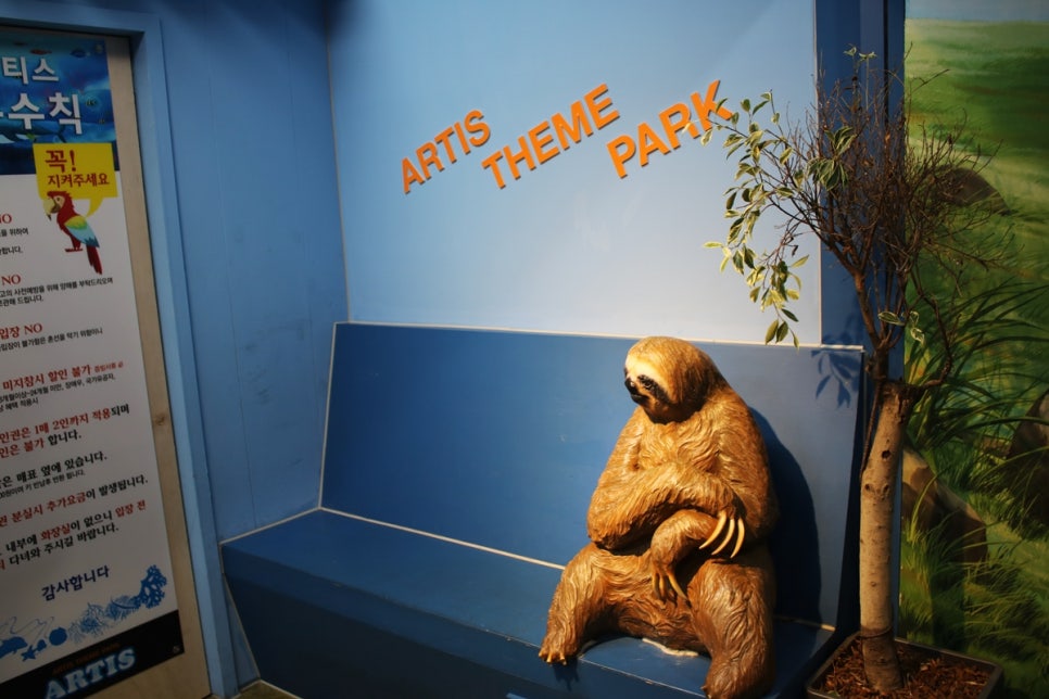 동탄 실내동물원 도심속에서 이런 퀄리티라니 놀라게 되는 아르티스테마파크 관련 이미지 15