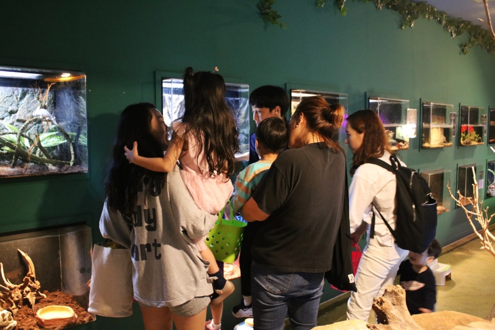 동탄 실내동물원 도심속에서 이런 퀄리티라니 놀라게 되는 아르티스테마파크 관련 이미지 34