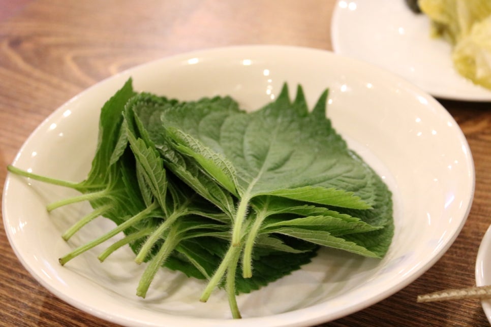 분당 가족모임 오랜만에 원기회복 제대로 하고 온 후기 관련 이미지 19