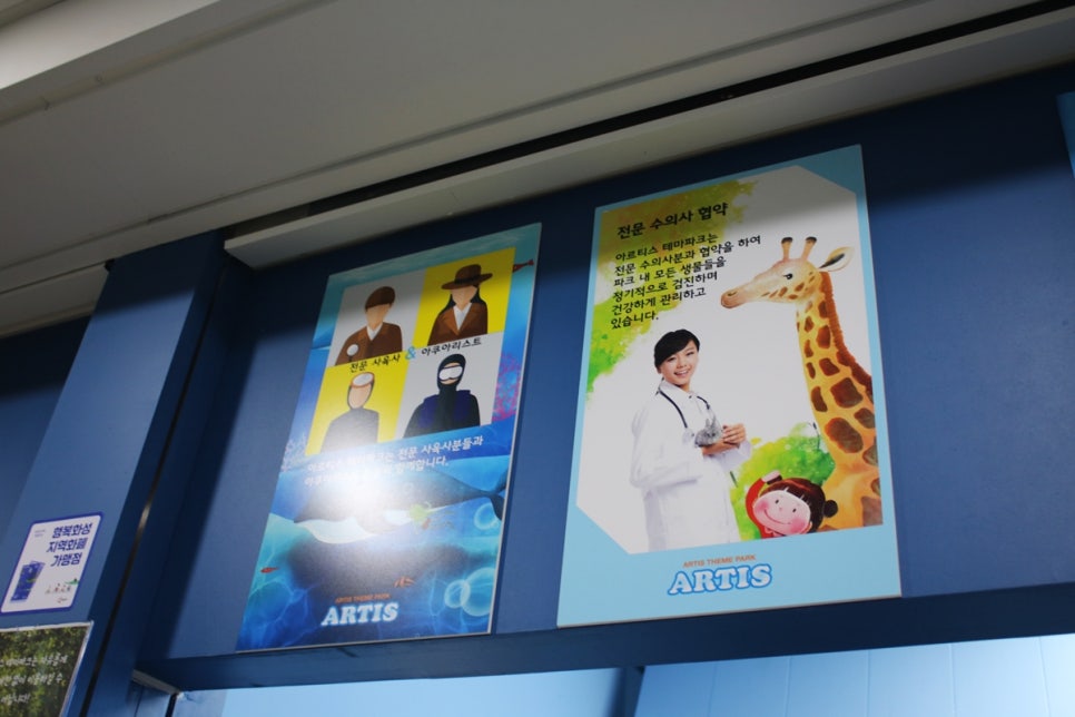 동탄 실내동물원 도심속에서 이런 퀄리티라니 놀라게 되는 아르티스테마파크 관련 이미지 9