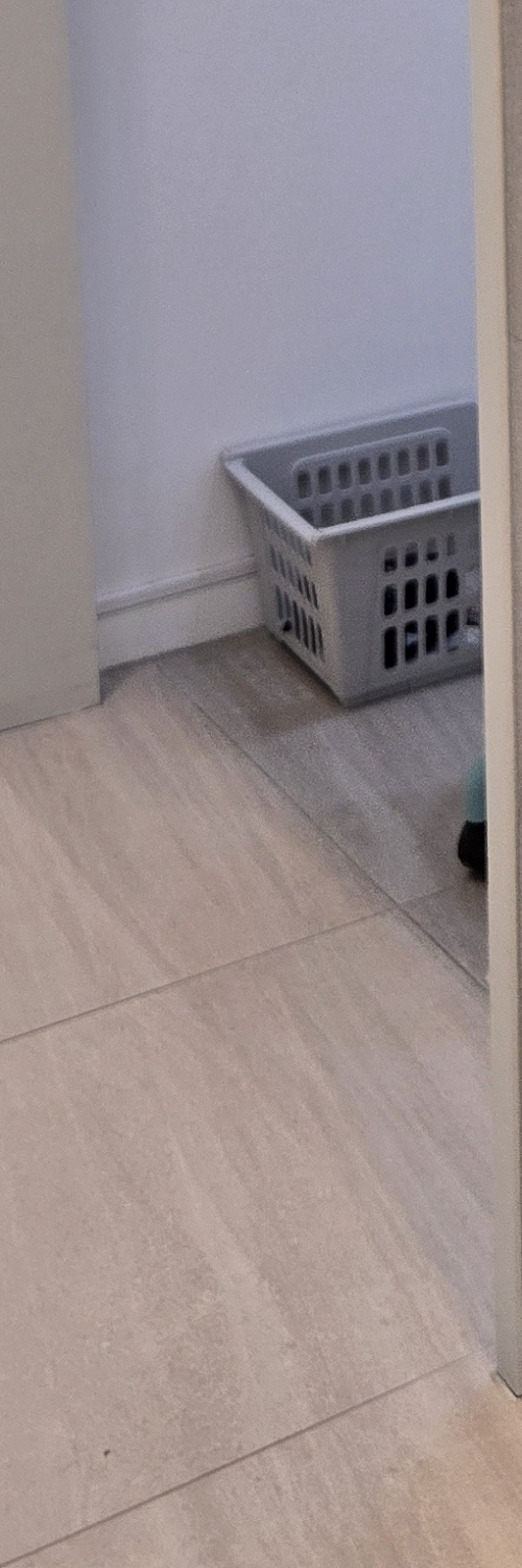 부분매복 사랑니 발치 신중하게 대비하려면 관련 이미지 17