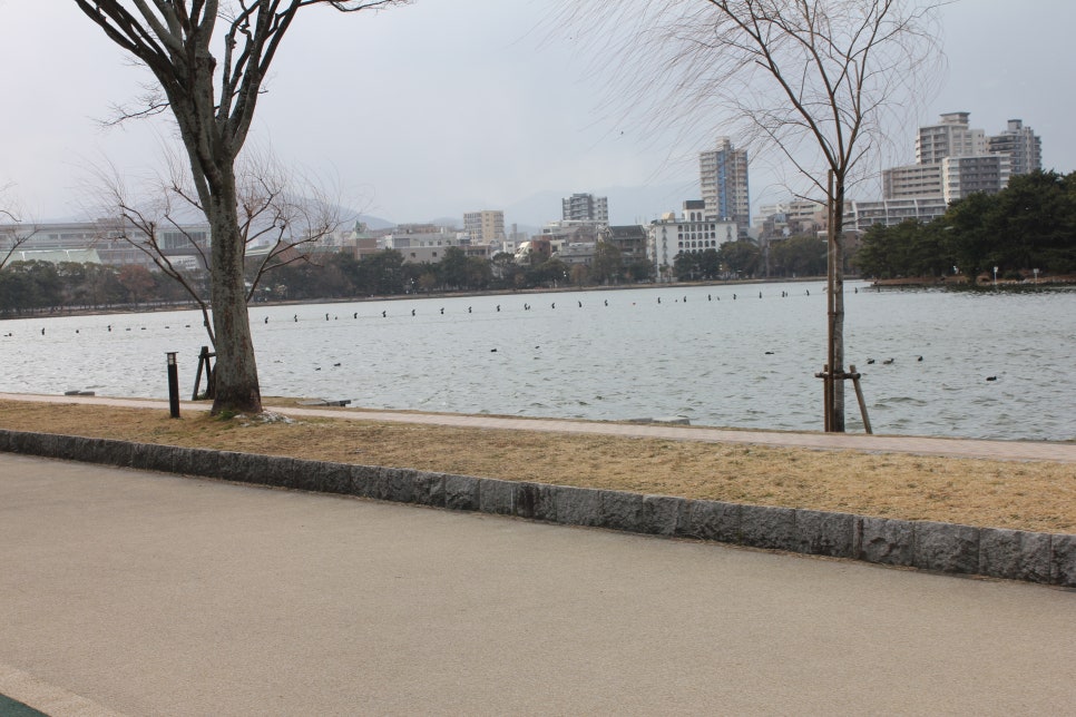 일본 후쿠오카 여행 오호리공원을 거닐면서 상념에 사로잡히다 관련 이미지 7