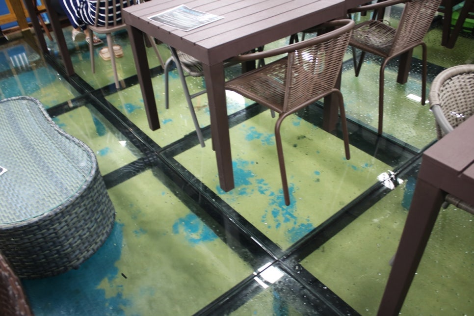 동탄 실내동물원 도심속에서 이런 퀄리티라니 놀라게 되는 아르티스테마파크 관련 이미지 101