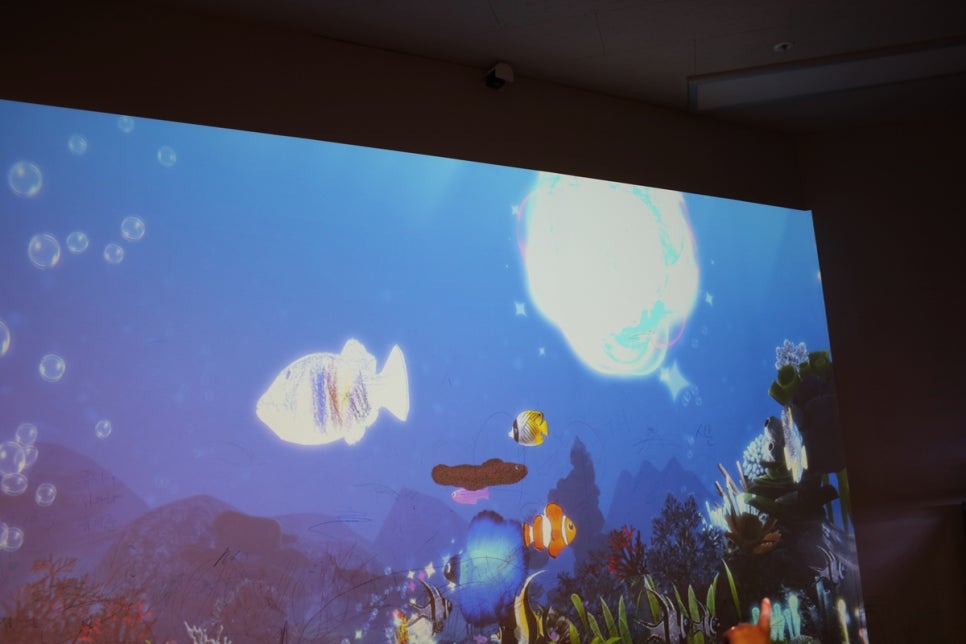 동탄 실내동물원 도심속에서 이런 퀄리티라니 놀라게 되는 아르티스테마파크 관련 이미지 97